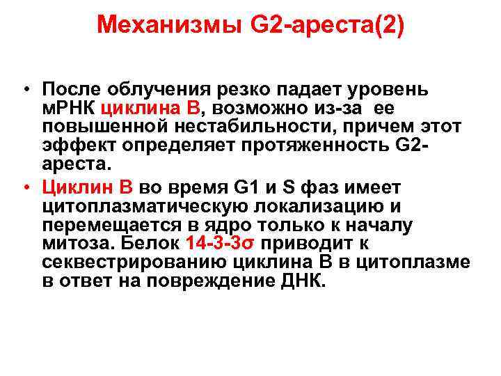 Механизмы G 2 -ареста(2) • После облучения резко падает уровень м. РНК циклина В,