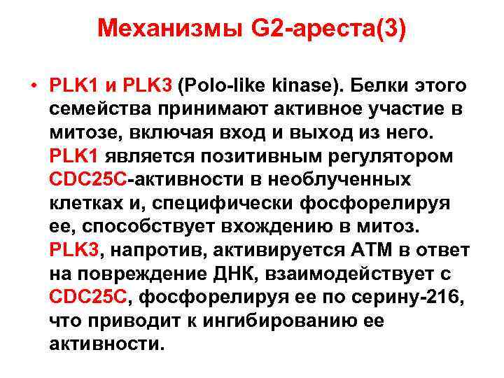 Механизмы G 2 -ареста(3) • PLK 1 и PLK 3 (Polo-like kinase). Белки этого