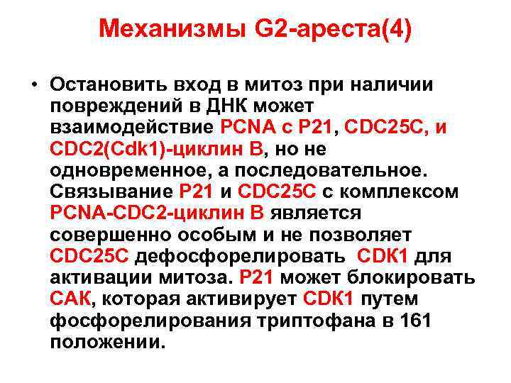 Механизмы G 2 -ареста(4) • Остановить вход в митоз при наличии повреждений в ДНК