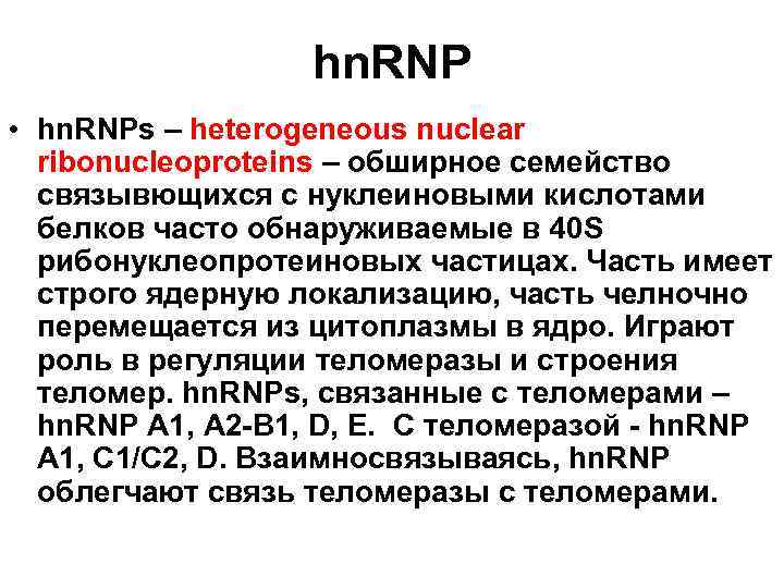 hn. RNP • hn. RNPs – heterogeneous nuclear ribonucleoproteins – обширное семейство связывющихся с