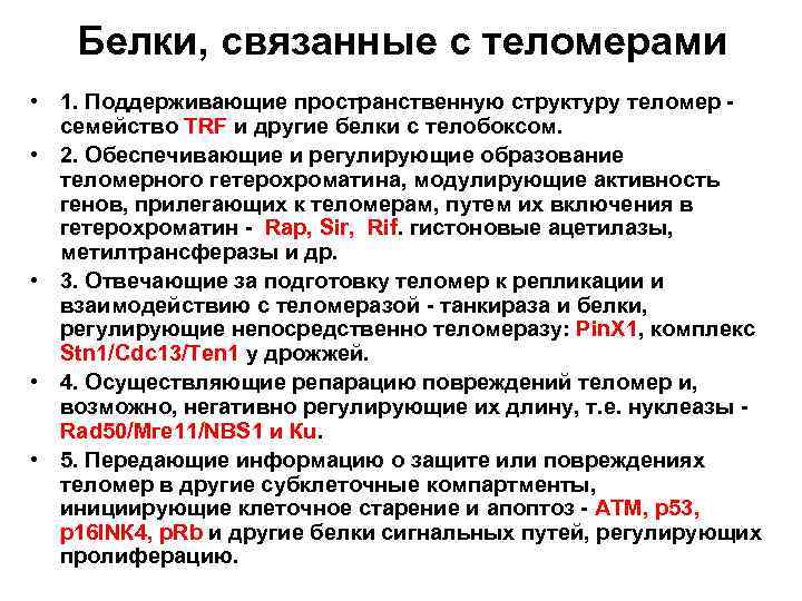 Белки, связанные с теломерами • 1. Поддерживающие пространственную структуру теломер - семейство TRF и