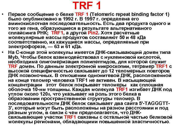 TRF 1 • Первое сообщение о белке TRF 1 (Теlomeric repeat binding factor 1)