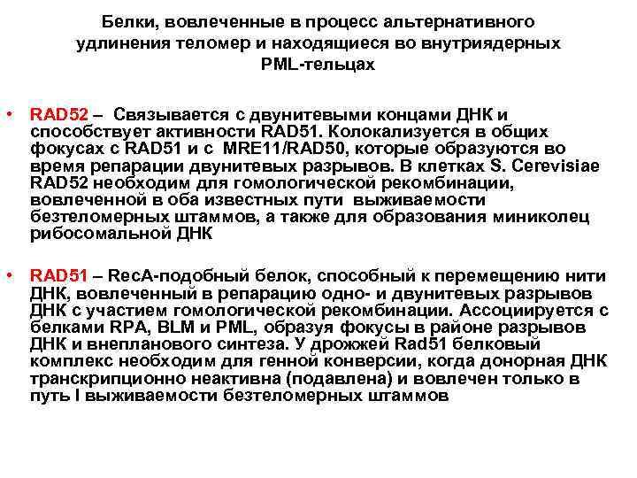 Белки, вовлеченные в процесс альтернативного удлинения теломер и находящиеся во внутриядерных PML-тельцах • RAD