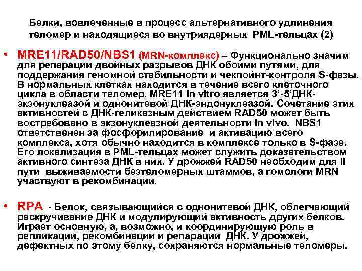 Белки, вовлеченные в процесс альтернативного удлинения теломер и находящиеся во внутриядерных PML-тельцах (2) •