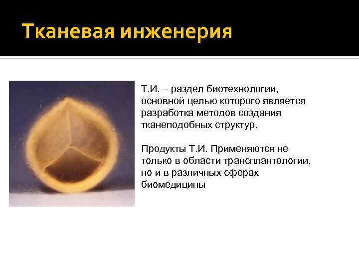 Тканевая инженерия Т. И. – раздел биотехнологии, основной целью которого является разработка методов создания