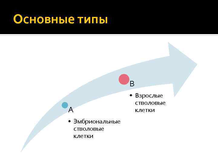 Основные типы B A • Эмбриональные стволовые клетки • Взрослые стволовые клетки 