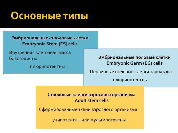 Основные типы 