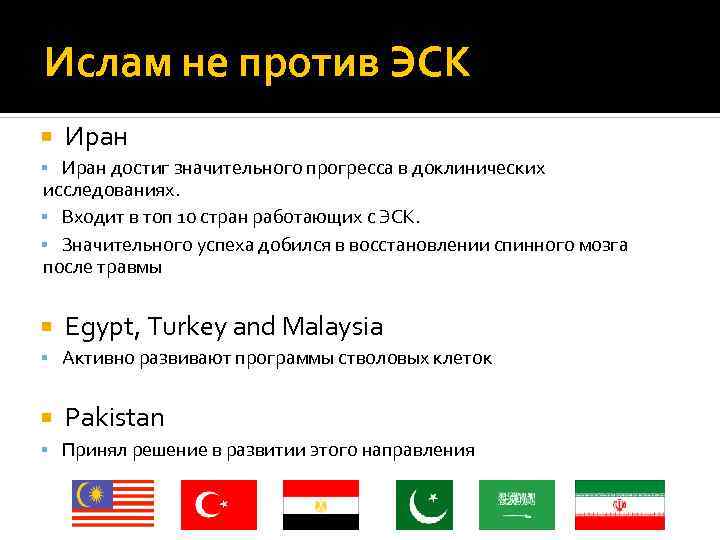 Ислам не против ЭСК Иран достиг значительного прогресса в доклинических исследованиях. Входит в топ