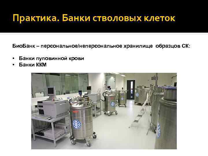 Практика. Банки стволовых клеток Био. Банк – персональное/неперсональное хранилище образцов СК: • Банки пуповинной