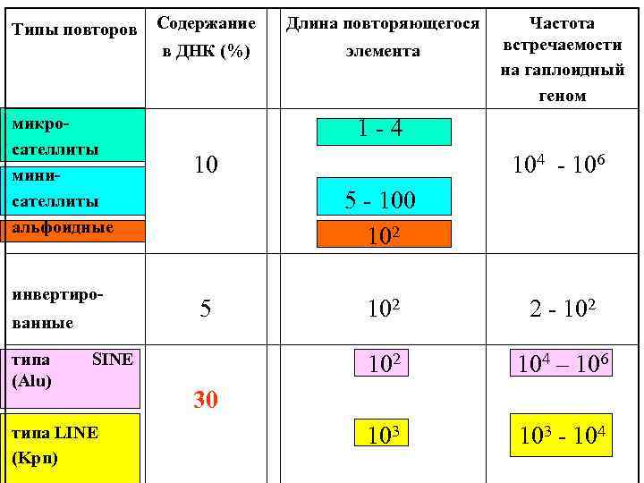 Типы повторов Содержание в ДНК (%) микросателлиты минисателлиты альфоидные инвертированные типа SINE (Alu) типа