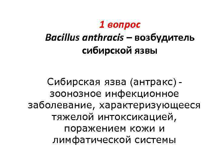 1 вопрос Bacillus anthracis – возбудитель сибирской язвы Сибирская язва (антракс) зоонозное инфекционное заболевание,