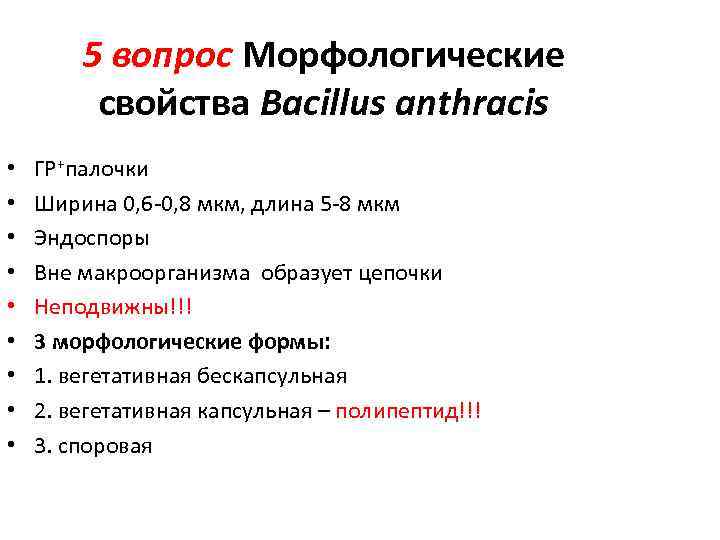 5 вопрос Морфологические свойства Bacillus anthracis • • • ГР+палочки Ширина 0, 6 -0,