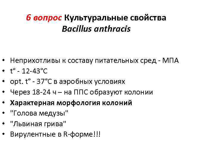 6 вопрос Культуральные свойства Bacillus anthracis • • Неприхотливы к составу питательных сред -