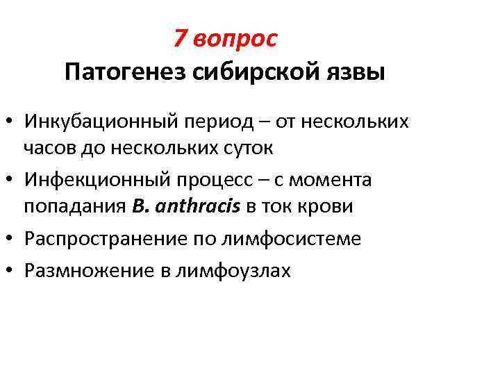 7 вопрос Патогенез сибирской язвы • Инкубационный период – от нескольких часов до нескольких