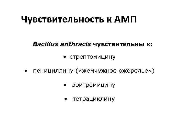 Чувствительность к АМП Bacillus anthracis чувствительны к: • стрептомицину • пенициллину ( «жемчужное ожерелье»