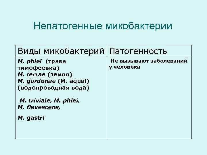 Непатогенные микобактерии Виды микобактерий Патогенность M. phlei (трава тимофеевка) M. terrae (земля) M. gordonae