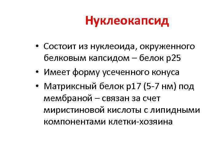 Нуклеокапсид • Состоит из нуклеоида, окруженного белковым капсидом – белок р25 • Имеет форму