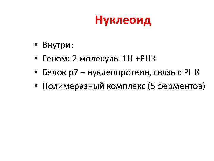 Нуклеоид • • Внутри: Геном: 2 молекулы 1 Н +РНК Белок р7 – нуклеопротеин,