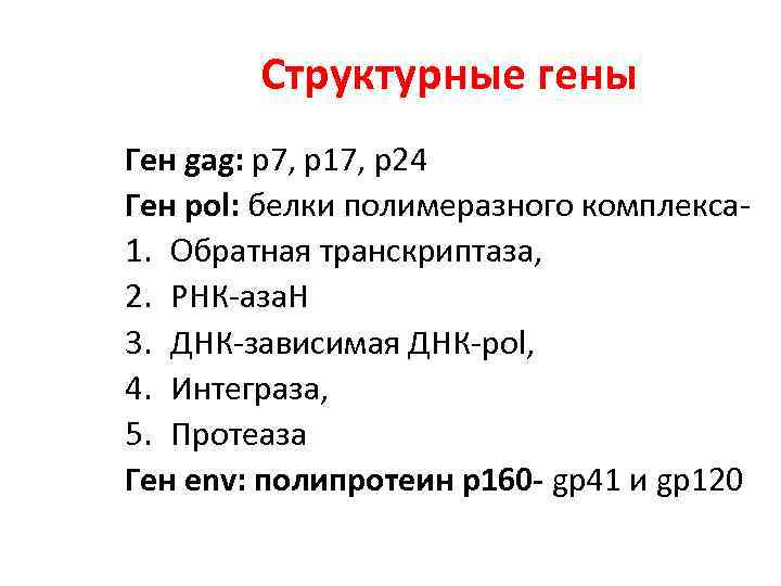 Структурные гены Ген gag: р7, р17, р24 Ген pol: белки полимеразного комплекса 1. Обратная