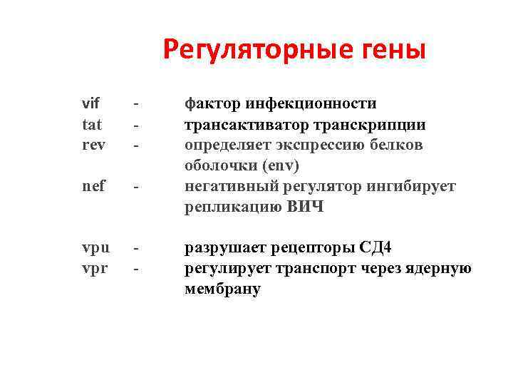 Регуляторные гены vif tat rev - nef - vpu vpr - фактор инфекционности трансактиватор