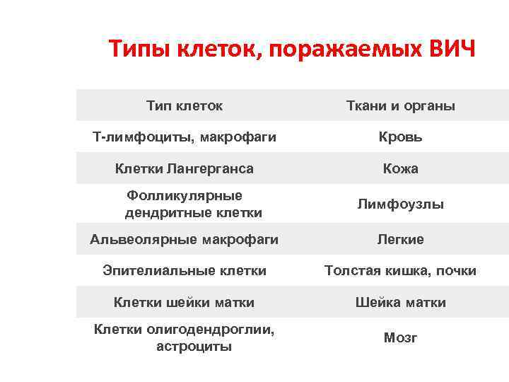 Типы клеток, поражаемых ВИЧ Тип клеток Ткани и органы Т-лимфоциты, макрофаги Кровь Клетки Лангерганса