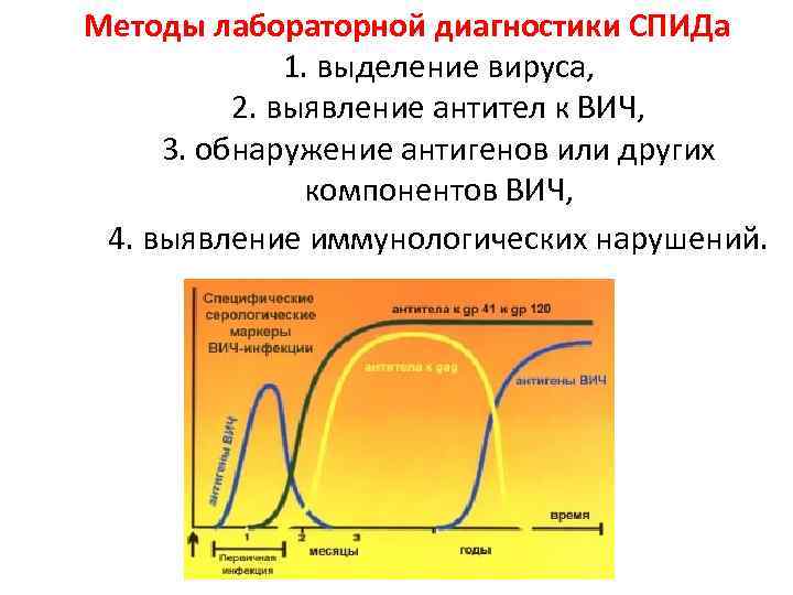 Методы лабораторной диагностики СПИДа 1. выделение вируса, 2. выявление антител к ВИЧ, 3. обнаружение