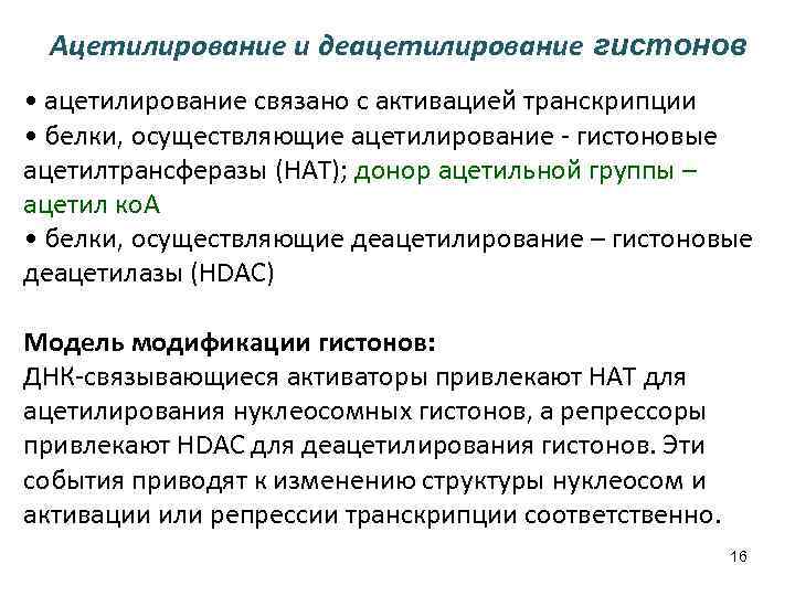 Ацетилирование и деацетилирование гистонов • ацетилирование связано с активацией транскрипции • белки, осуществляющие ацетилирование