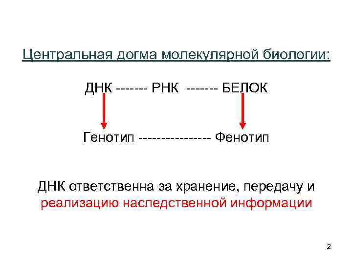 Какая схема соответствует главному постулату или центральной догме молекулярной биологии