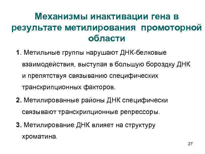Механизмы инактивации гена в результате метилирования промоторной области 1. Метильные группы нарушают ДНК-белковые взаимодействия,