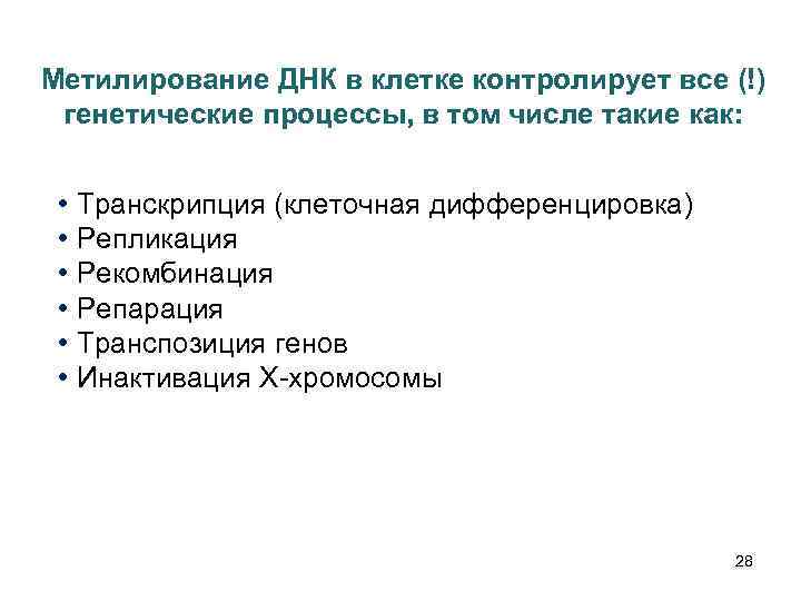 Метилирование ДНК в клетке контролирует все (!) генетические процессы, в том числе такие как: