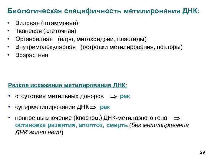 Биологическая специфичность метилирования ДНК: • • • Видовая (штаммовая) Тканевая (клеточная) Органоидная (ядро, митохондрии,