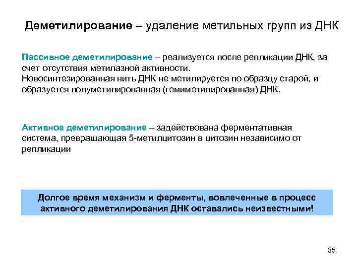Деметилирование – удаление метильных групп из ДНК Пассивное деметилирование – реализуется после репликации ДНК,
