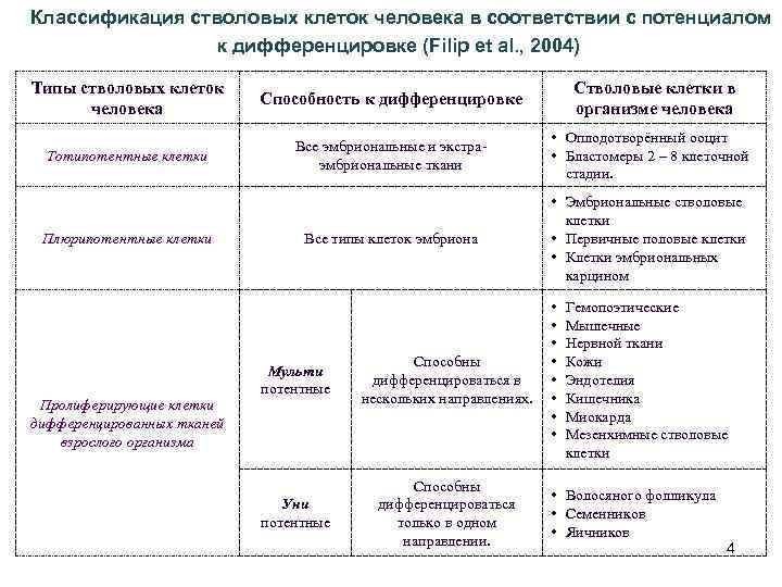  Классификация стволовых клеток человека в соответствии с потенциалом к дифференцировке (Filip et al.