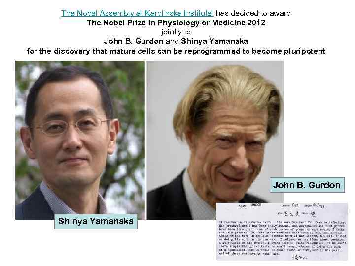 The Nobel Assembly at Karolinska Institutet has decided to award The Nobel Prize in