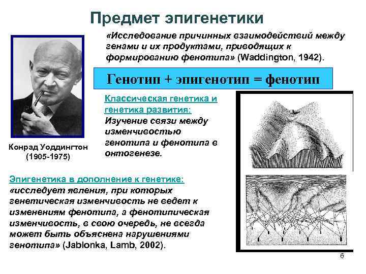 Предмет эпигенетики «Исследование причинных взаимодействий между генами и их продуктами, приводящих к формированию фенотипа»