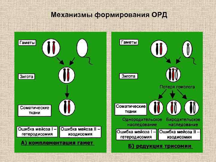 Механизмы формирования ОРД 