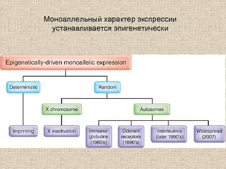 Понятие эпигенетика понятие биоинформатика презентация