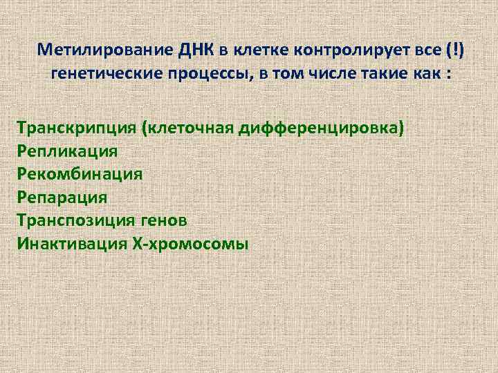 Метилирование ДНК в клетке контролирует все (!) генетические процессы, в том числе такие как