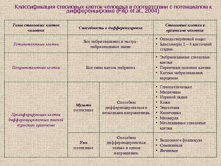 Классификация стволовых клеток человека в соответствии с потенциалом к дифференцировке (Filip et al. ,
