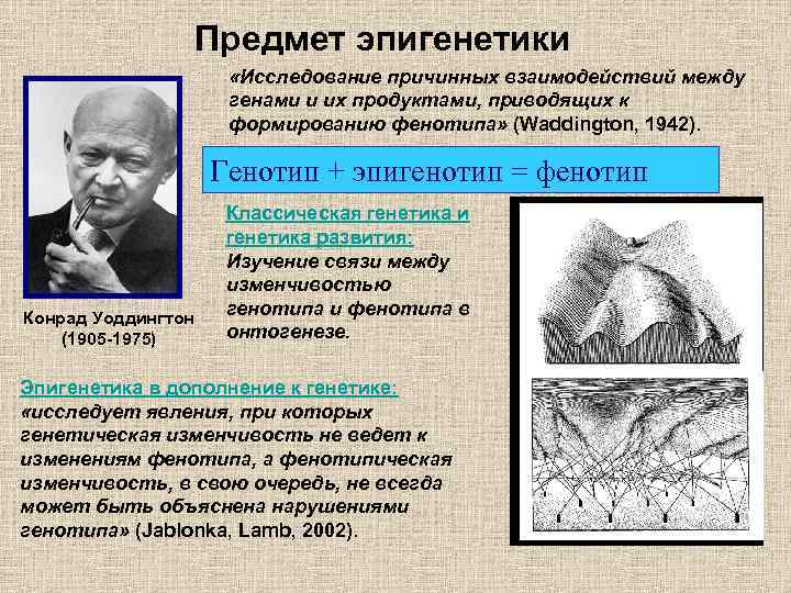 Предмет эпигенетики «Исследование причинных взаимодействий между генами и их продуктами, приводящих к формированию фенотипа»