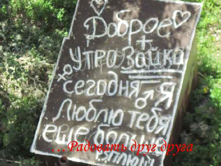 …Радовать друга 