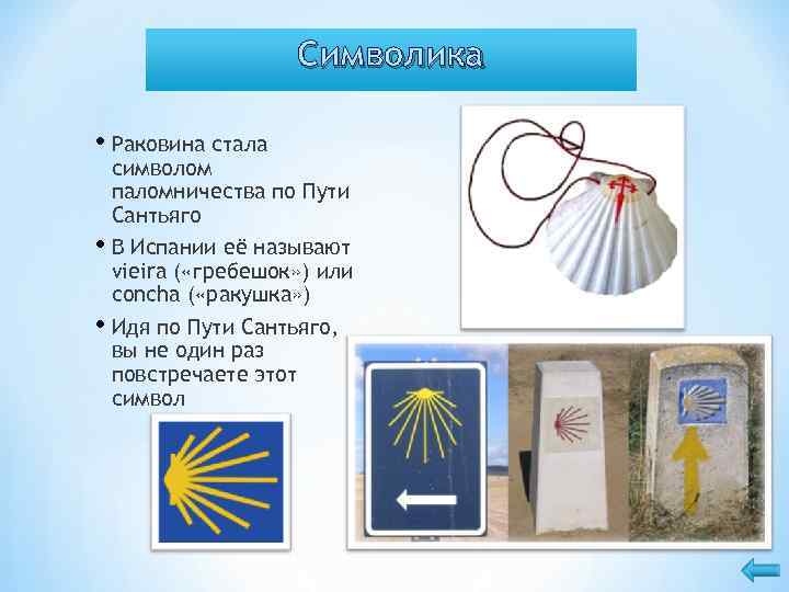 Символика • Раковина стала символом паломничества по Пути Сантьяго • В Испании её называют