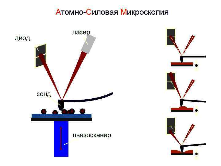 Атомно силовой микроскоп схема