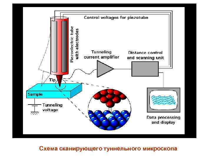 Схема сканирующего туннельного микроскопа 