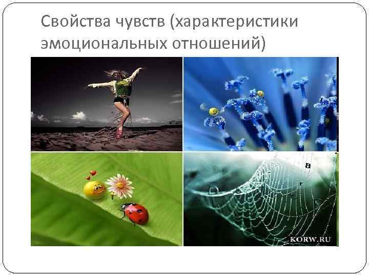 Свойства чувств (характеристики эмоциональных отношений) 