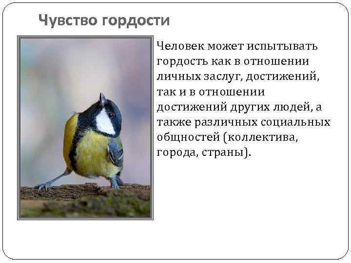 Чувство гордости Человек может испытывать гордость как в отношении личных заслуг, достижений, так и