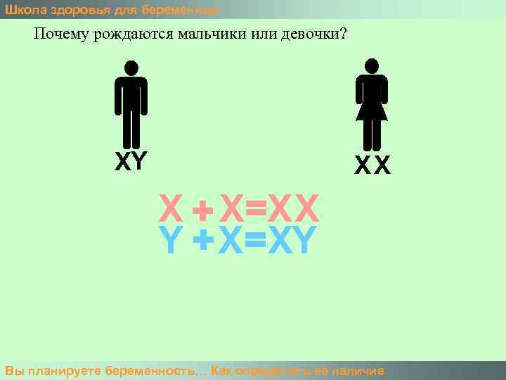 Школа здоровья для беременных Почему рождаются мальчики или девочки? XY XX X + X=X