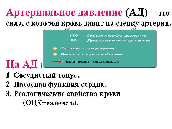 Артериальное давление (АД) – это сила, с которой кровь давит на стенку артерии. На
