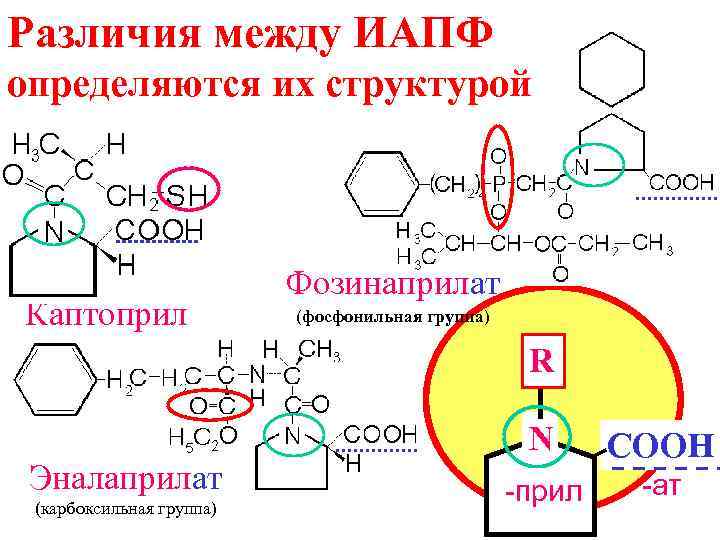 Различия между ИАПФ определяются их структурой Каптоприл Фозинаприлат (фосфонильная группа) R Эналаприлат (карбоксильная группа)