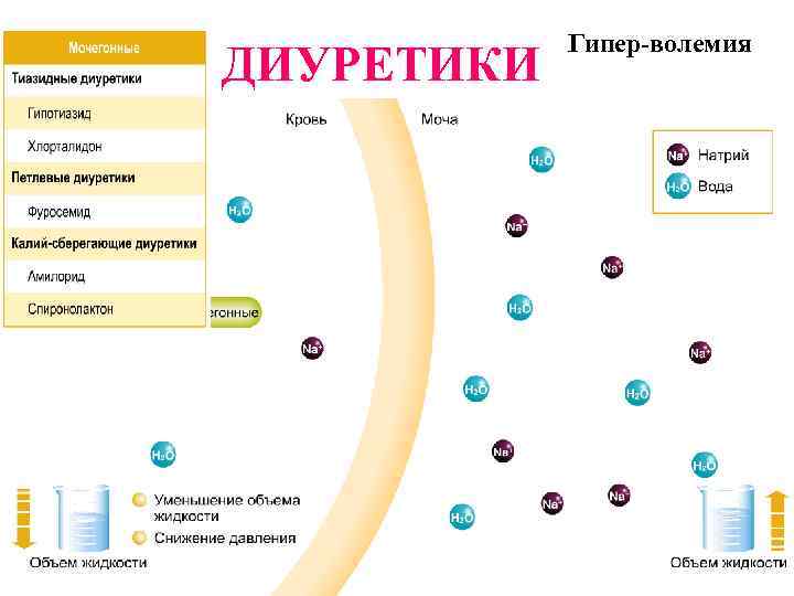 ДИУРЕТИКИ Гипер-волемия 